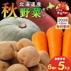 秋野菜 詰め合わせ 6種