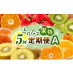 とれたて果物 5回定期便A 果物 フルーツ