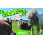 fu.... налог .... ранчо .... body . билет 1 название минут морковь 2 cup имеется .... билет .... body . body . миниатюра шланг шланг лошадь.. Hokkaido день высота блок 