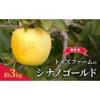 シナノゴールド 約3kg