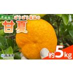 訳あり わけあり 果物 フルーツ みかん ミカン