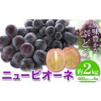 ニューピオーネ 約2kg