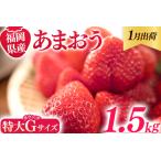 いちご あまおう 1500g