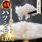 精米 定期便 ハツシモ 10kg