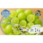 ふるさと納税 【2026年先行予約】ご家庭用つぶつぶ　シャインマスカット（約1.0kg）｜シャインマスカット フルーツ 山梨県都留市