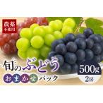 旬のぶどうお任せパック 種あり 500g