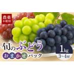 旬のぶどうお任せパック 種あり 1kg