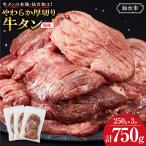 やわらか 厚切り 牛タン 750g