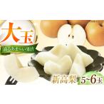 豊水梨 5-6玉入り BKAD052 梨