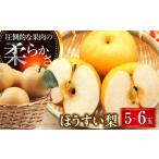 豊水梨 5-6玉入 BKAD030 梨