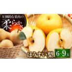 豊水梨 6-9玉入 BKAD031 梨