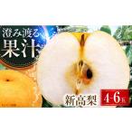 新高梨 4-6玉 BKAD026 梨