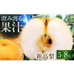 新高梨5-8玉入 BKAD027 梨