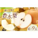 豊水梨 6-9玉入り BKAD053 梨