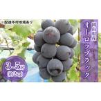 ふるさと納税 【2025年先行予約】 ぶどう 岡山県産 オーロラブラック ( 種無し )約2kg(3〜5房) 《2025年9月上旬-中旬頃出荷》 葡萄 ブドウ .. 岡山県里庄町