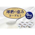 球磨の恵 ヨーグルト 加糖 1kg