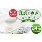 球磨の恵みヨーグルト 砂糖不使用 1kg×4パック