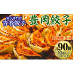 餃子専門店青春餃子 豊岡餃子10個入り×3パック 計90個