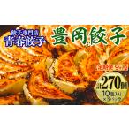 餃子専門店青春餃子 豊岡餃子10個入り×3パック 30個