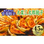餃子専門店青春餃子のもちもち肉汁餃子15個入り×3パック 45…