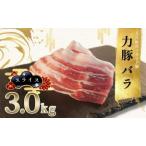 力豚 豚肉 バラ スライス 豚バラ 小分け ブランド豚