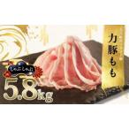 力豚 豚肉 もも しゃぶしゃぶ5.8kg 小分け
