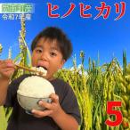 ヒノヒカリ 5kg