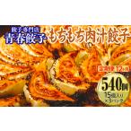餃子専門店青春餃子 大葉三太郎餃子15個入り×3パック 45個