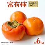 富有柿 約6kg