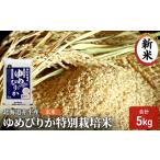 ふるさと納税 玄米 北