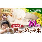 白米 ブレンド米 肥後のめぐみ米 10kg