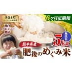 無洗米 ブレンド米 肥後のめぐみ米 5kg
