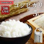 お米 令和7年産 5kg