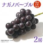 ナガノパープル 2房 共通返礼品:
