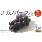 ナガノパープル 1房 共通返礼品: