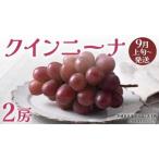 クインニーナ2房 共通返礼品:大子町