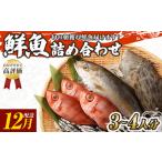 旬の朝獲れ鮮魚詰め合わせ ※着日指定不可