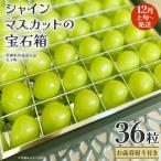 シャインマスカットの宝石箱 36粒