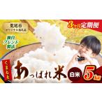 ショッピングふるさと納税 定期便 ふるさと納税 【3ヶ月定期便】 熊本県産 くまもとあっぱれ米 5kg  熊本県産 ふるさと納税  白米 精米 米 こめ ふるさとのうぜい コメ お米 おこ.. 熊本県荒尾市