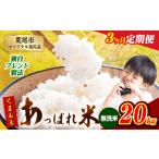 くまもとあっぱれ米 20kg