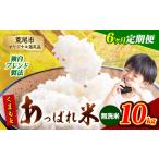 くまもとあっぱれ米 10kg