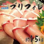 鰤 フィレ 約1.5kg