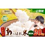 くまもとあっぱれ米 20kg