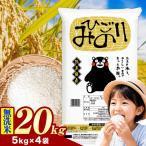ひごみのり 白米 ブレンド米 20kg