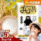 ひごみのり 白米 ブレンド米 5kg