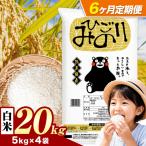 ひごみのり 白米 ブレンド米 20kg