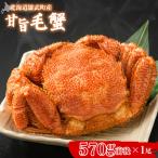 甘旨毛蟹 570g前後1尾