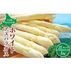 ふるさと納税 【先行予約】令和8年産 ホワイトアスパラガス（2Lサイズ） 1kg アスパラ F4G-0338 北海道下川町