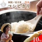 コシヒカリ 米10kg