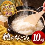 ふるさと納税 令和7年産 熊本県産 穂のなごみ 白米 10kg こめ 米 訳あり 規格外 熊本県和水町